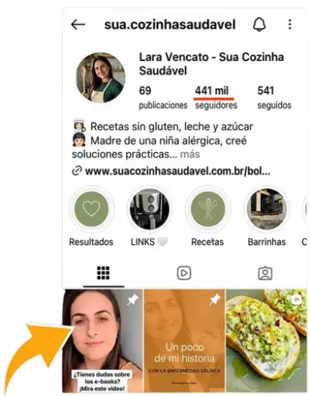 Perfil de Instagram @sua.cozinhasaudavel con 344 mil seguidores